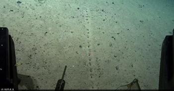   العلماء حائرون بعد اكتشاف ثقوب غامضة في قاع المحيط