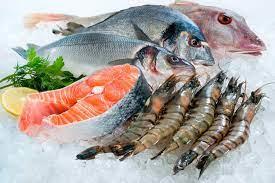   دراسة حديثة: الأسماك تقلل خطر الوفاة بنسبة هائلة