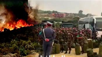   الجيش المغربى يتدخل لإخماد حرائق الغابات فى إقليم العرائش