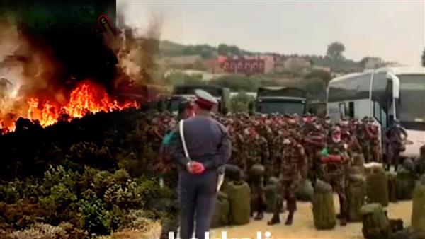 الجيش المغربى يتدخل لإخماد حرائق الغابات فى إقليم العرائش