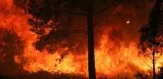  حرائق غابات كاليفورنيا تدمر 51 هكتارًا وتتسبب في إخلاء 500 منزل