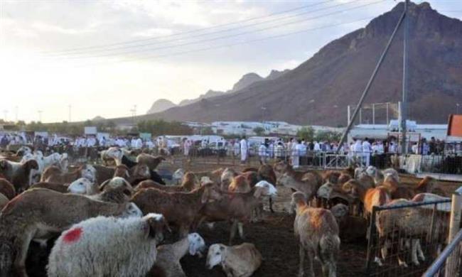 قبل السفر للحج.. حكم دفع صك الهدى مقدما للمؤسسات المسؤولة 