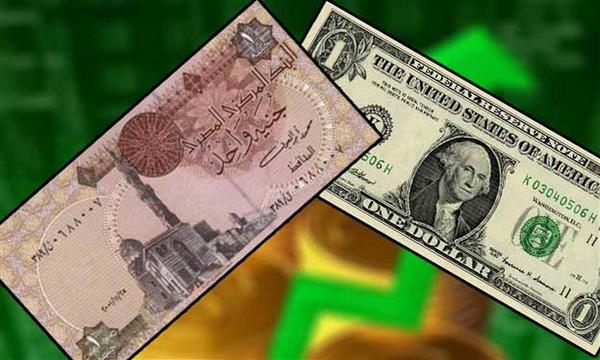 استقرار سعر صرف الدولار مقابل الجنيه المصري