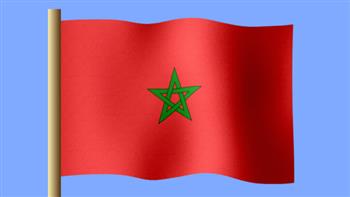   احتجاجات مزيفة ضد الحكومة المغربية