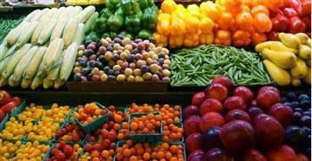محافظ الإسماعيلية: صدرنا فواكه وخضراوات بـ١٨٦.٧ مليون دولار 