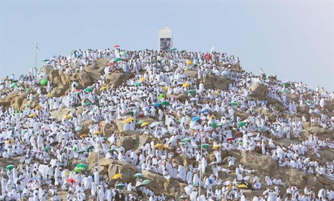 الأوقاف: صيام يوم عرفة من السنن المؤكدة ويكفر سنتين