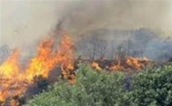   إسرائيل.. اندلاع حريق في أحد المزارع في وادي الحولة