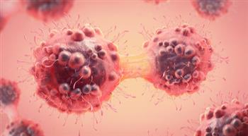  دراسة تكشف سبب تحول الخلايا الطبيعية إلى خلايا سرطانية
