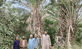 المدرسه الحقلية الأولي للمعمل المركزي للنخيل بمركز البحوث الزراعية بالمنيا