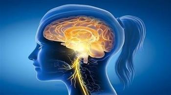   دراسة تكشف أسباب الأضرار الدماغية بعد الإصابة بكورونا