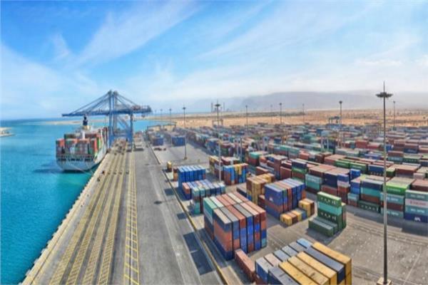 تداول 29 سفينة بموانئ بورسعيد