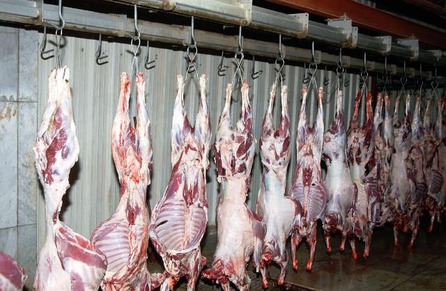 محافظ الغربية: فتح المجازر بالمجان لذبح الأضاحي خلال فترة العيد