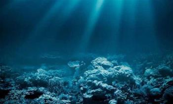   ارتفاع درجات حرارة المياه فى البحر المتوسط يدمر الحياة به