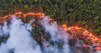   حرائق الغابات في روسيا تغطي 79 ألفا و400 هكتار