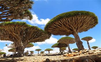 أغرب المزارات السياحية في العالم.. بينها بوابات الجحيم