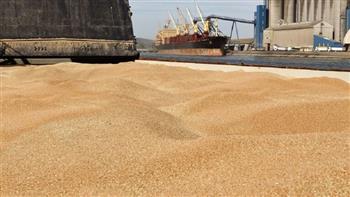   سلطات كييف تنوى تصدير الحبوب بما لا يزيد عن ثلاث سفن يوميا