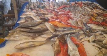   استقرار أسعار السمك اليوم