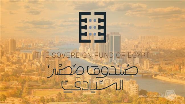 السعودية - المصرية تستحوذ على حصص اقلية مملوكة للدولة بنحو 1.3 مليار دولار  