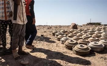 الأمم المتحدة تأسف لسقوط أطفال ضحايا لانفجارات الألغام الحوثية باليمن