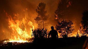 حرائق جديدة تدمر منازل وغابات جنوب غرب فرنسا