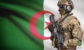 خلال أسبوع.. «الجزائر» تضبط 5 عناصر إرهابية و268 مهاجرا غير شرعي