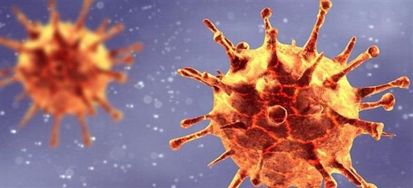 دراسة تحذر.. فيروس لانجيا نتائجه غير متوقعة عند إصابة البشر به