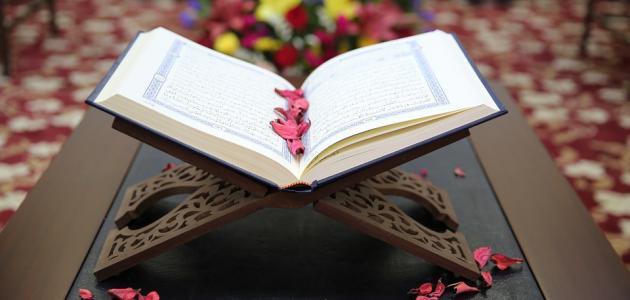 سورة من القرآن الكريم تحميك من الكآبة