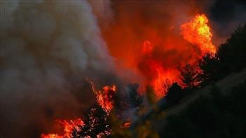   الداخلية الفرنسية: المحققون يشتبهون فى أن حريق الغابات فى جيروند مفتعل