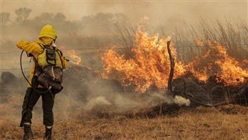   اتحاد فرق الإطفاء بالمملكة المتحدة يحذر من مخاطر الحرائق بسبب ارتفاع درجات الحرارة‎‎
