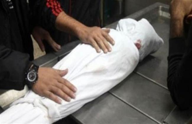 مصرع طفل صعقًا بالكهرباء في الدقهلية