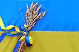 روسيا: الحبوب الأوكرانية لم تذهب للدول الإفريقية بل إلى الغرب