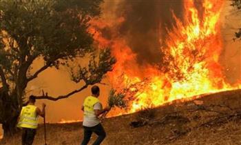   الجيش الجزائرى يتدخل لإطفاء حريق هائل فى إحدى الغابات