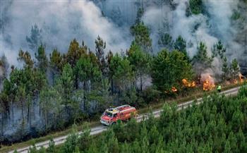   الحرائق تدمر 105 هكتارات من غابات الصنوبر بإقليم البرانس الشرقية في فرنسا
