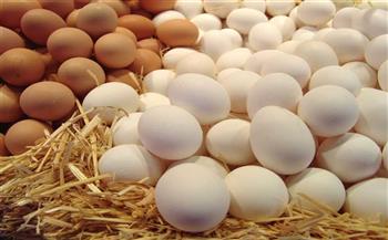   « الدواجن » : سعر كرتونة البيض بالمزرعة 40 جنيهًا وتصل للمستهلك بـ 58 جنيه