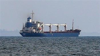   دخول سفينتين إلى ميناء أوديسا الأوكراني لتحميل الزيت والذرة