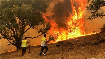   الجزائر.. تسجيل ٢٠ حريقا من بينها ١٠ تمت السيطرة عليها اليوم