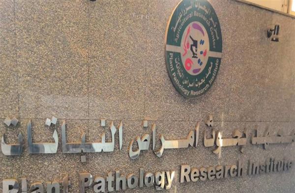 "أمراض النباتات" ينظم برنامجًا تدريبيًا حول تشخيص أمراض الفاكهة والطرق الحديثة لمكافحتها