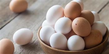   المواد الغذائية: حلقات التداول السبب في عدم انخفاض أسعار البيض