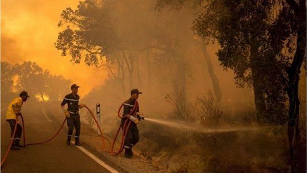 مصرع 3 عمال إطفاء أثناء إخماد حريق شمال المغرب