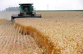   المفوضية الأوروبية توافق على خطة بلغارية لدعم المنتجين الزراعيين المُتضررين من الأزمة الأوكرانية