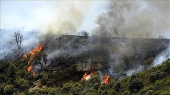   الجزائر.. تسجيل ٣٩ حريقا عبر ١٤ ولاية.. ومواصلة الجهود لإخمادها