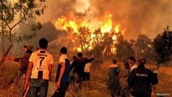   الخارجية تعرب عن تعازي مصر للجزائر فى ضحايا الحرائق التي اندلعت بعدد من الولايات