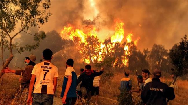 الإمارات تعزى الجزائر فى ضحايا حرائق الغابات