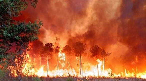المفوضية الأوروبية: حرائق الغابات التهمت 700 ألف هكتار من أراضي أوروبا