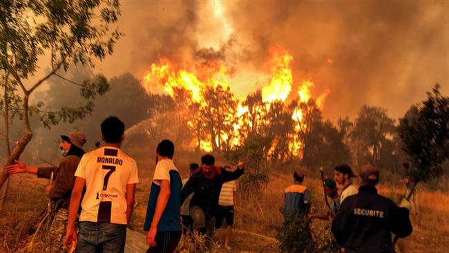 الجزائر: ارتفاع الحصيلة الأولية للوفيات جراء الحرائق لـ30 شخصًا