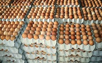   البيض بـ 50 جنيها.. الزراعة: حققنا الاكتفاء الذاتي من الدواجن