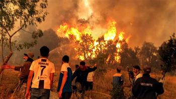   الإمارات تعزى الجزائر فى ضحايا حرائق الغابات
