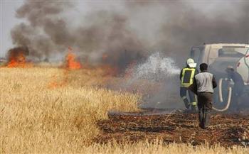 الجزائر: القبض على 3 أشخاص لقيامهم بإضرام النيران عمدا في محاصيل زراعية