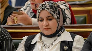 برلمانية: ننتظر من محافظ البنك المركزي سياسات مالية قادرة على التعامل مع التحديات الاقتصادية