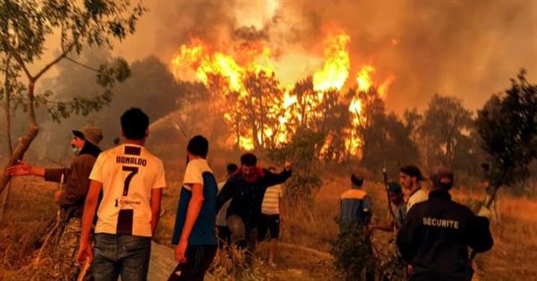 الجزائر: مواصلة إخماد 7 حرائق بولايتين شرقي البلاد
